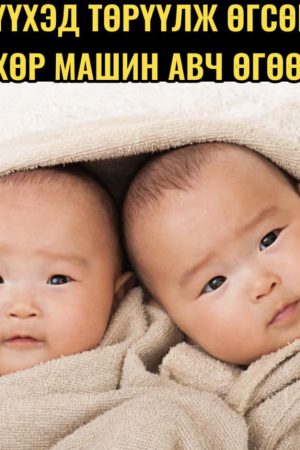 3-г ихэр хүүхэд төрүүлж өгсөн гээд нөхөр машин авч өгөөд