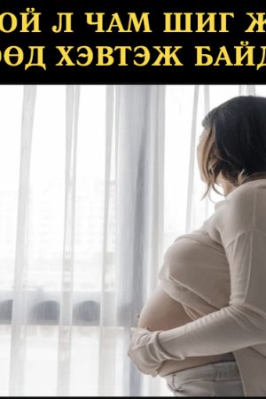 Эм нохой л чам шиг гөлөглөөд хэвтэж байдаг юм